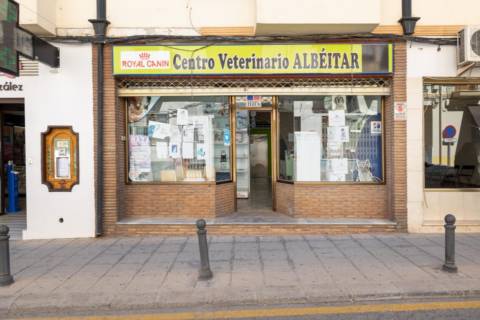 Commercial space in Baza