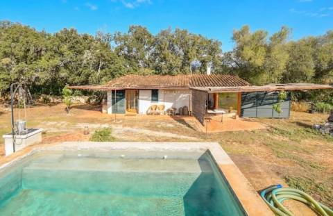 680 ideas de Pájaros : Casas para pájaros  casas para pajaros, casitas de  pajaros, casa de pajaros