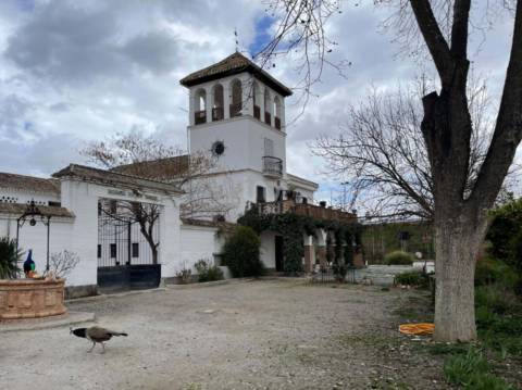 Chalet en Vega de Granada
