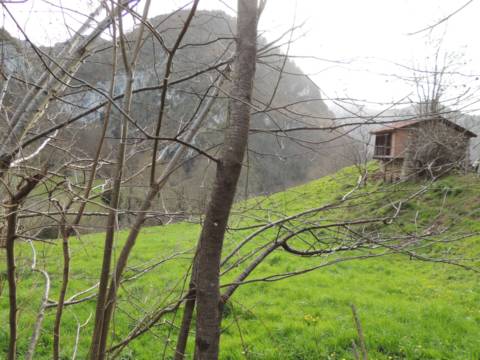 Rural Property in Acebal