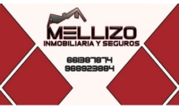 INMOBILIARIA MELLIZO