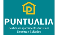 Puntualia Servicios