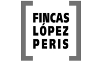FINCAS LOPEZ  PERIS