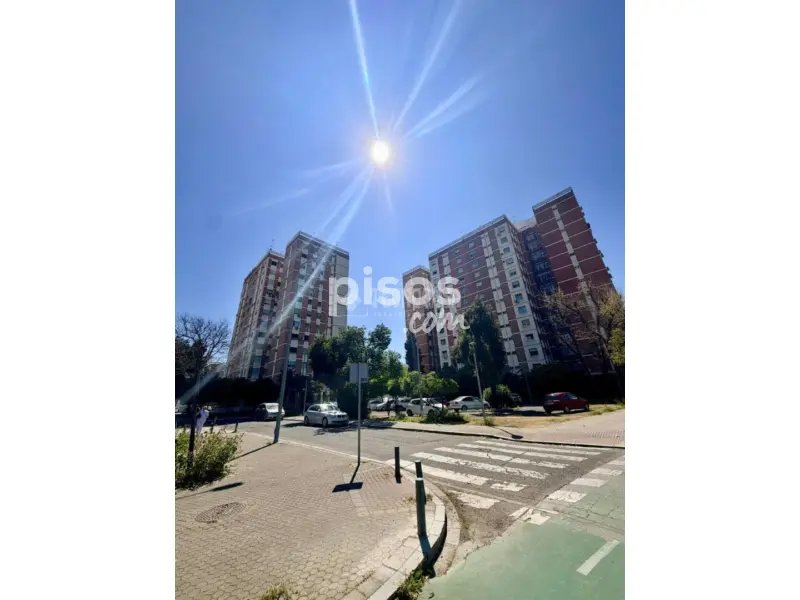 Piso en Plaza Paquiro