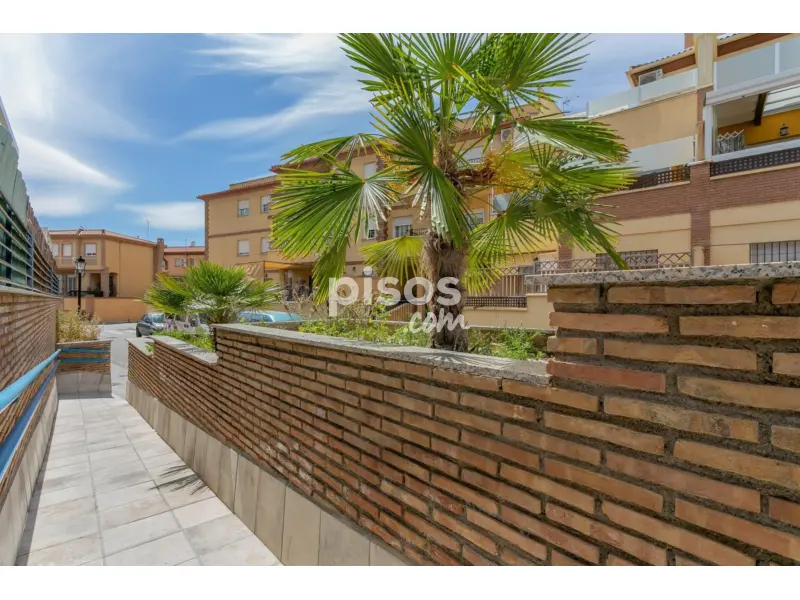 Piso en venta en Entrada de Gabia en Residencial Triana-Barrio Alto ...