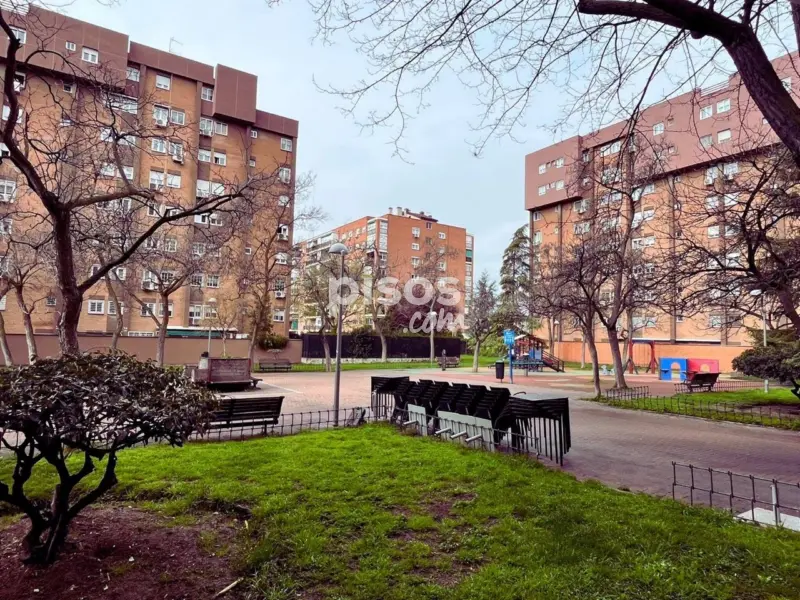 Piso en Avenida de Santa Eugenia