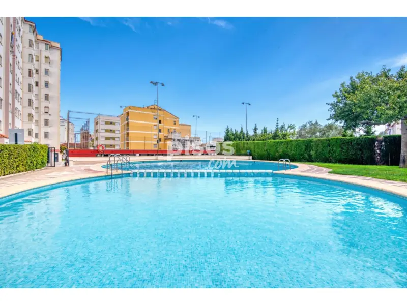 Apartamento en Carrer del Camp de Morvedre, 23