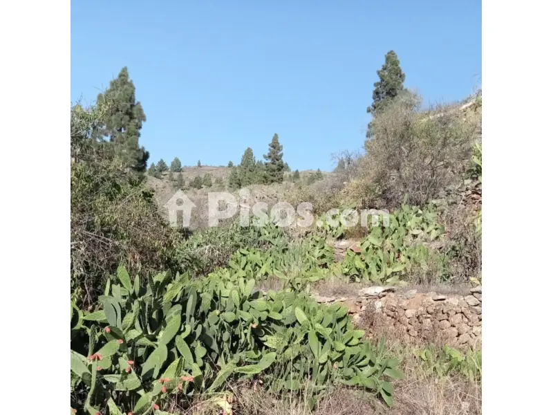 Terreno en calle La Parranda