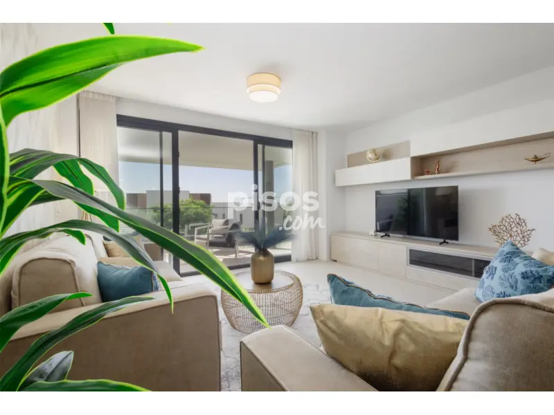 Apartamento en Casco Antiguo