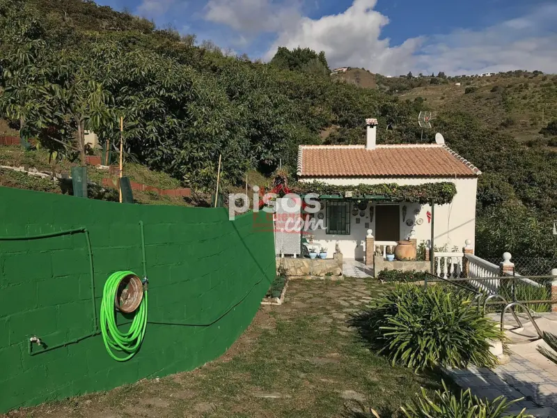 Finca rústica en Sayalonga, en El Campo, Zona Rural, Pueblo, Montaña