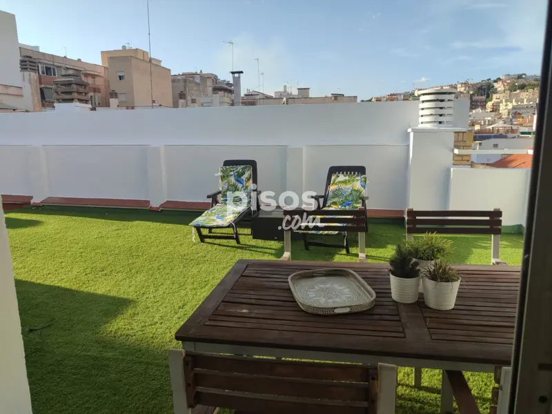 Piso El Ejido Cristo De La Epidemia Olletas San Miguel2