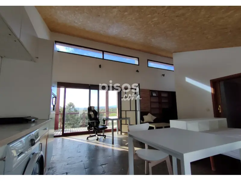 Estudio Pinar Punta Galea