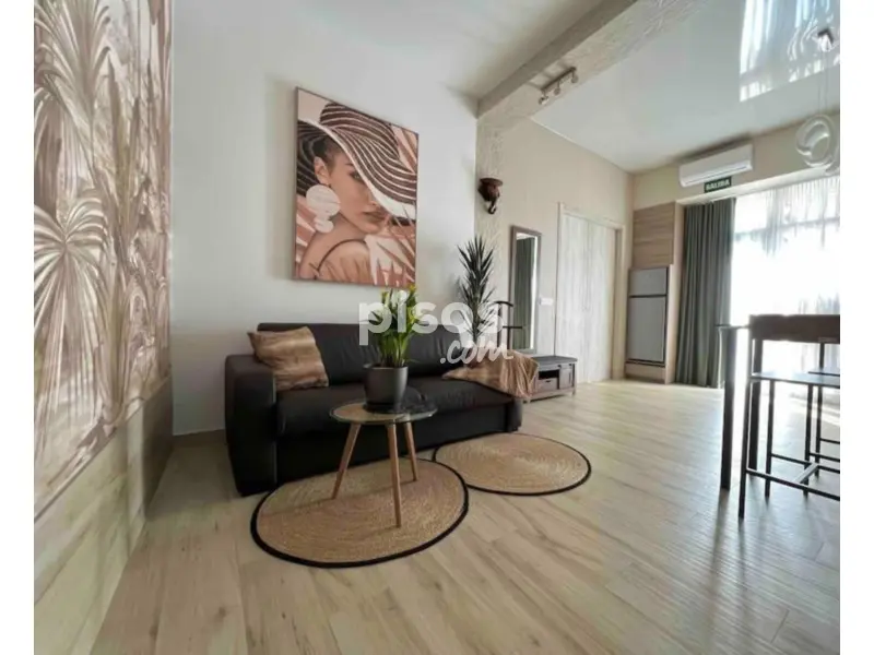 Piso Granada Capital Centro Catedral