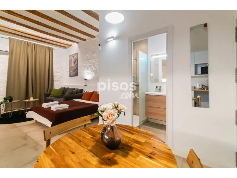 Piso Sant Pere Santa Caterina La Ribera