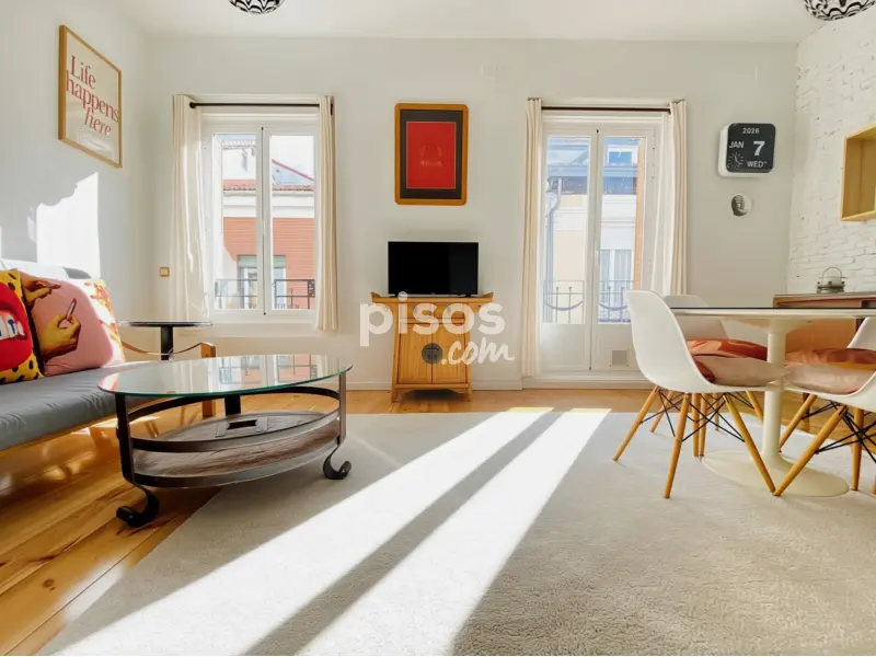 Piso Centro Embajadores Lavapies