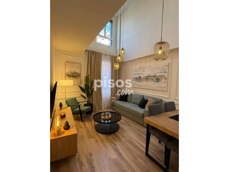 Duplex Centro Palacio