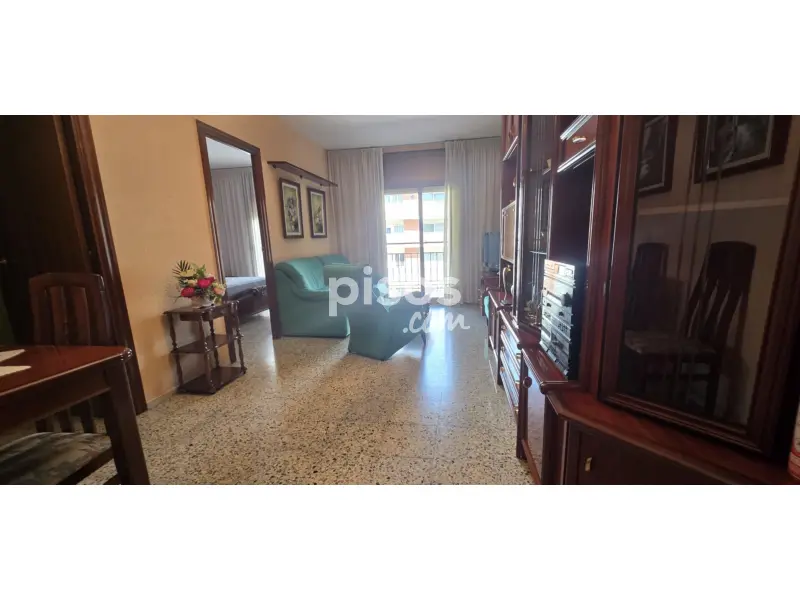 Piso en Paseo Lorenzo Serra