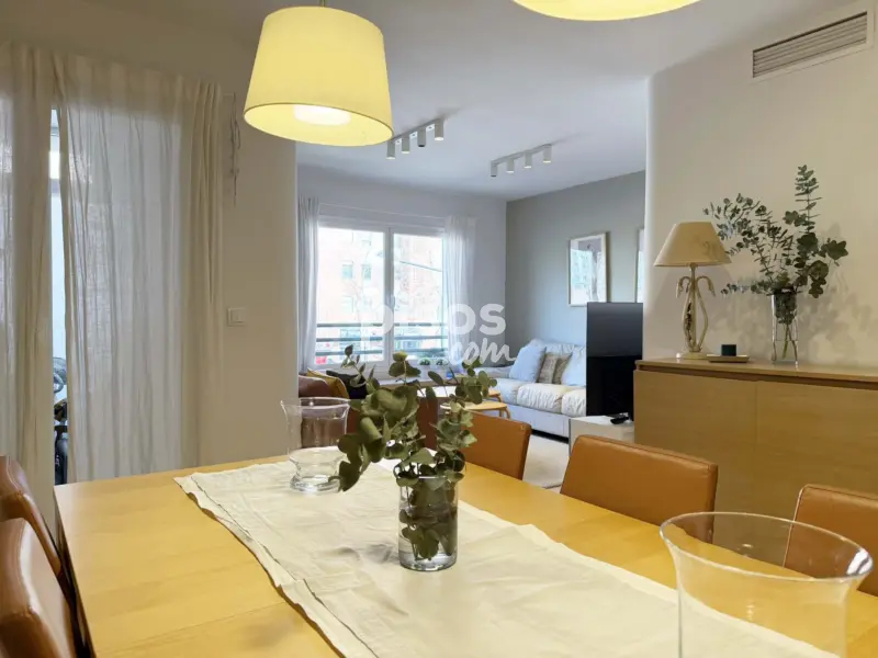 Piso en Avenida del Maestro Rodrigo