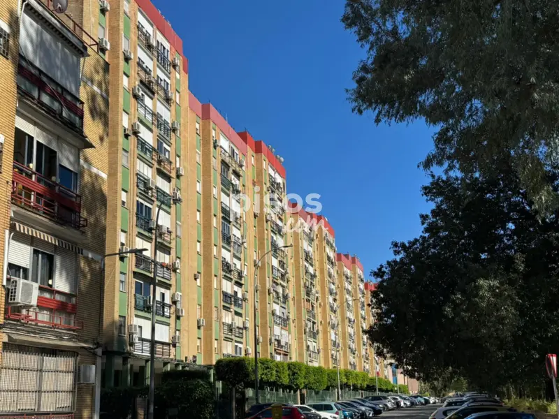 Piso en Avenida de la Paz