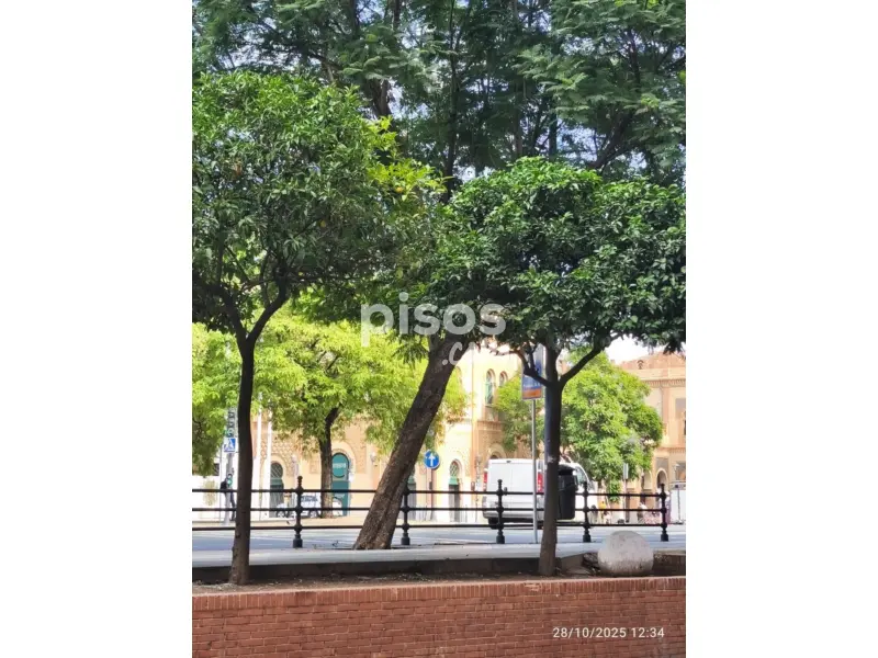 Piso en Avenida Cristo de la Expiración