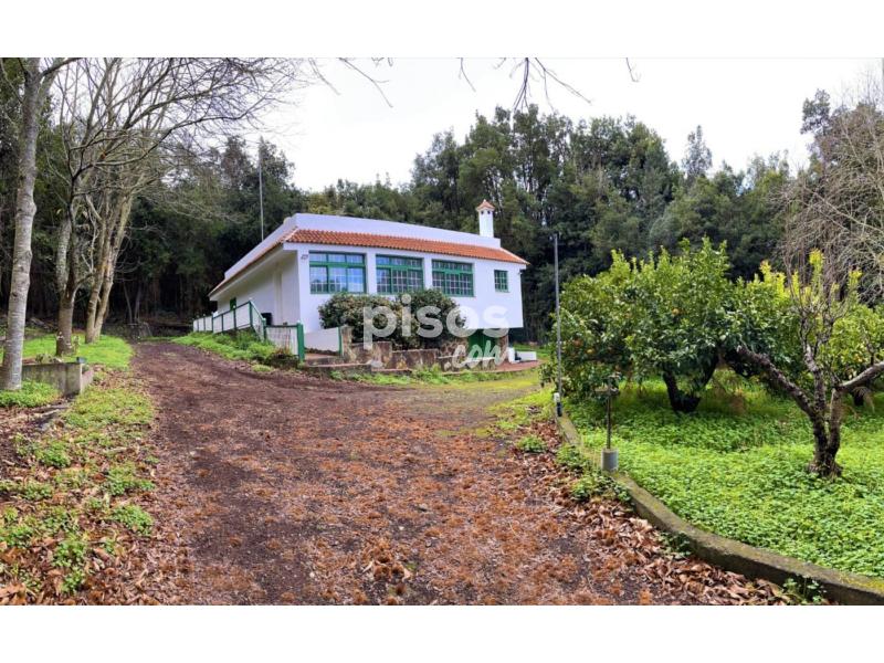 Casa En Venta En Ravelo En El Sauzal Por