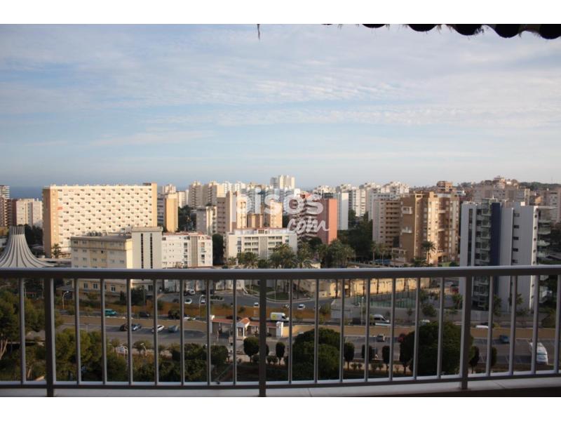 Piso en alquiler en Avenida de Benidorm en Playa de San Juan por 850 €/mes