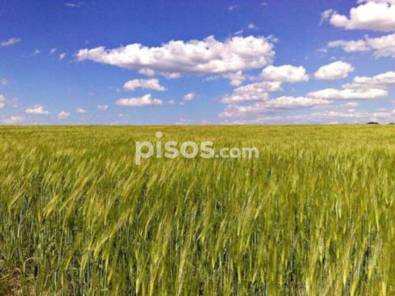 1030_26814713032_1_2018051716362531250