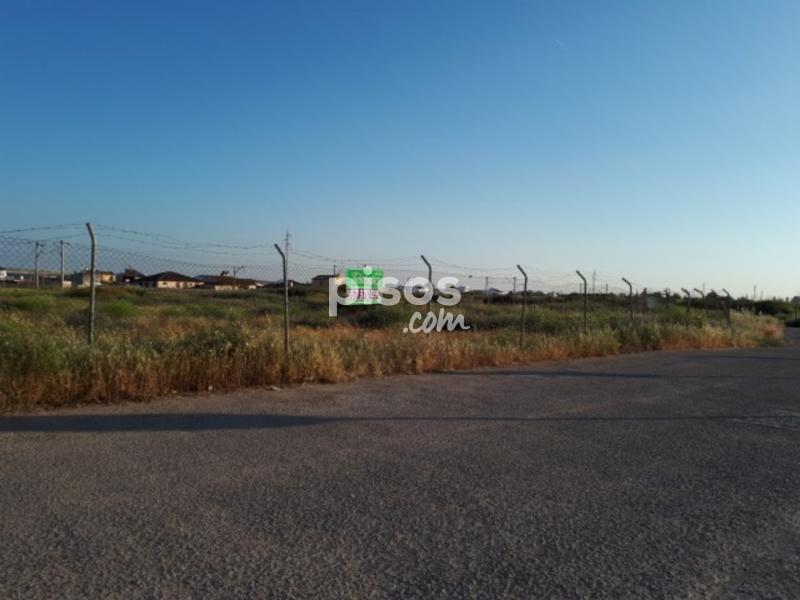 Terreno en venta en Carretera Córdoba-Palma del Río en ...